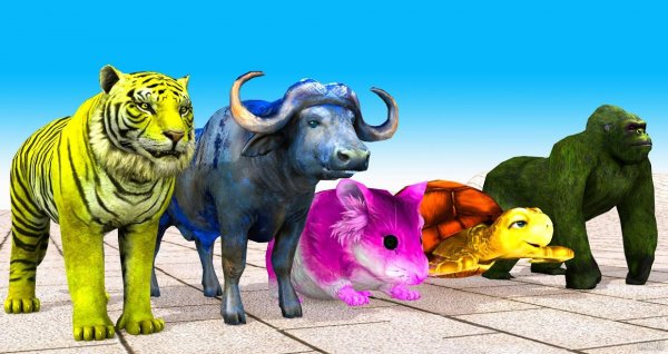 عکس حیوانات اهلی و وحشی برای کودکان