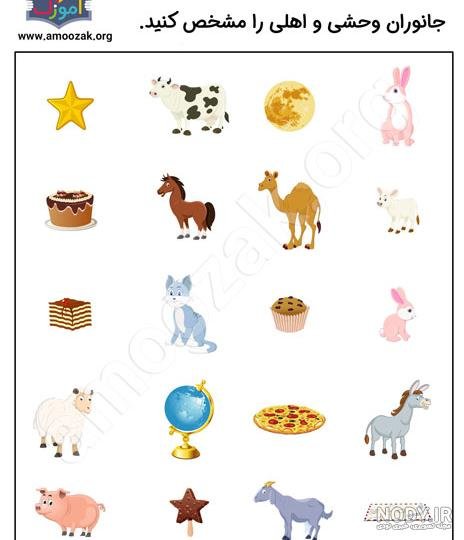 اسامی حیوانات اهلی برای کودکان