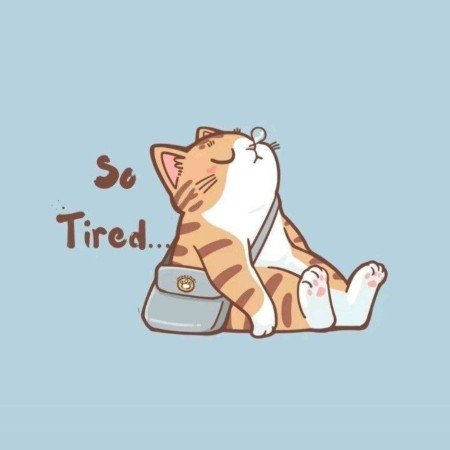  عکس گربه خنده دار برای پروفایل