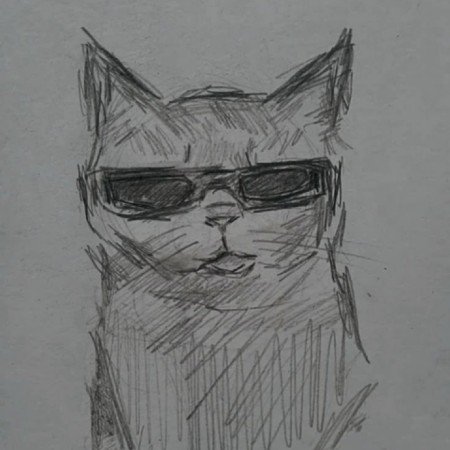  عکس گربه خنده دار جدید