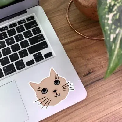 عکس گربه خنده دار برای استیکر