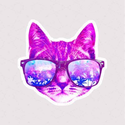  عکس گربه خنده دار برای استیکر