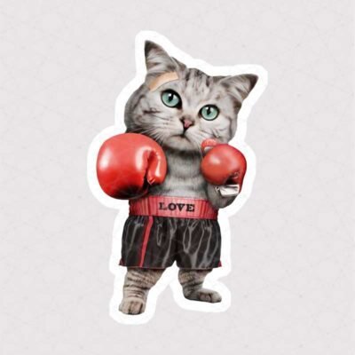  عکس گربه خنده دار برای استیکر