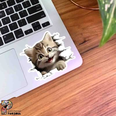  عکس گربه خنده دار برای استیکر