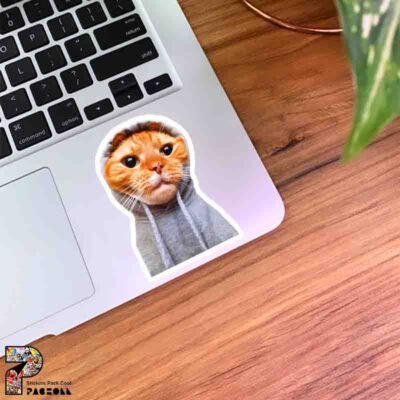  عکس گربه خنده دار برای استیکر