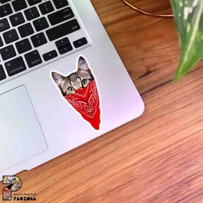  عکس گربه خنده دار برای استیکر