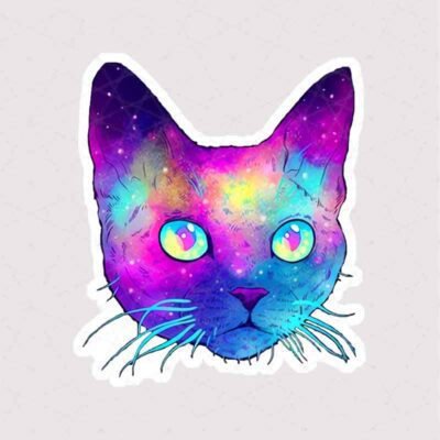  عکس گربه خنده دار برای استیکر