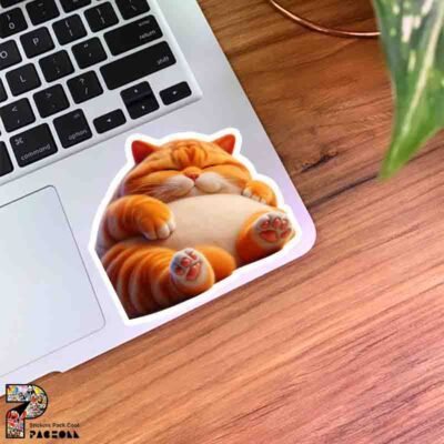  عکس گربه خنده دار برای استیکر