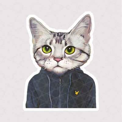  عکس گربه خنده دار برای استیکر