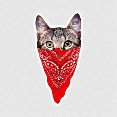  عکس گربه خنده دار برای استیکر