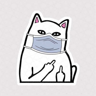  عکس گربه خنده دار برای استیکر