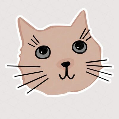  عکس گربه خنده دار برای استیکر