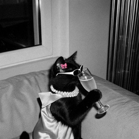  100 عکس خنده دار دختر