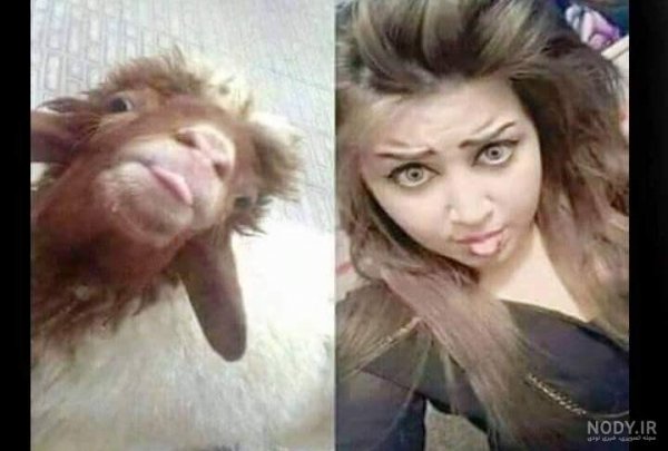  عکس زن خنده دار زشت