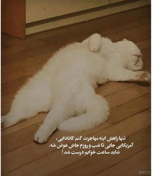  عکس دختر زشت با مقنعه