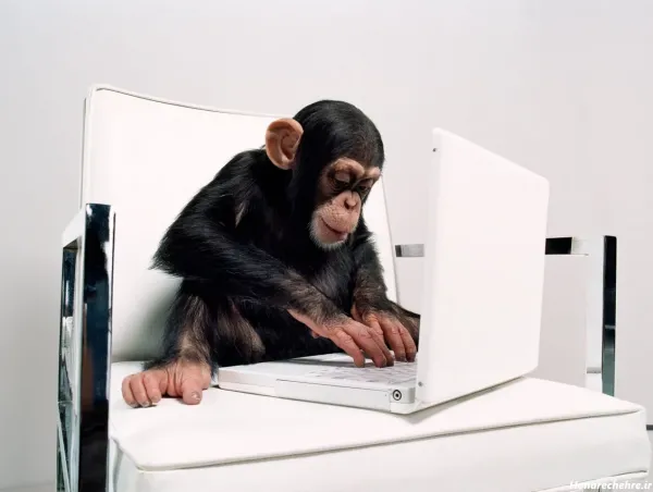 عکس یک میمون خنده دار