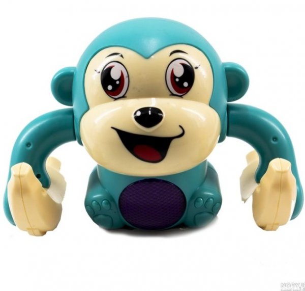  عکس میمون دختر