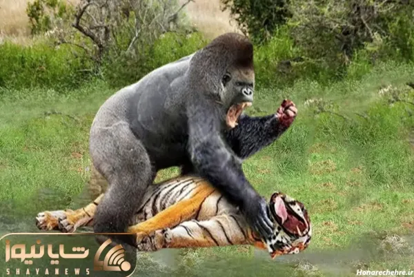 عکس میمون ترسناک