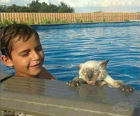  عکس های جالب و خنده دار