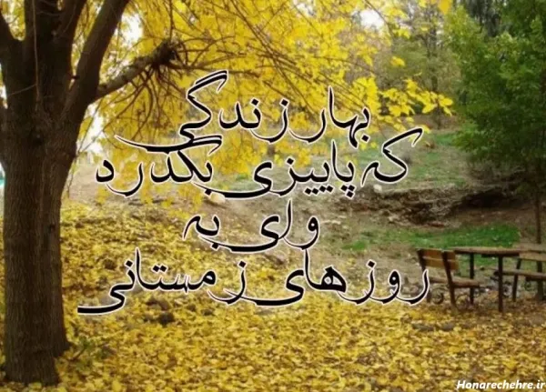 عکس پیرمرد باکلاس