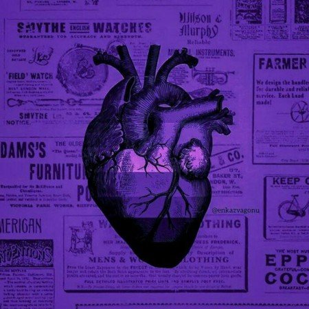  عکس پاتریک کیوت