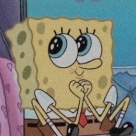  عکس باب اسفنجی و پاتریک واقعی