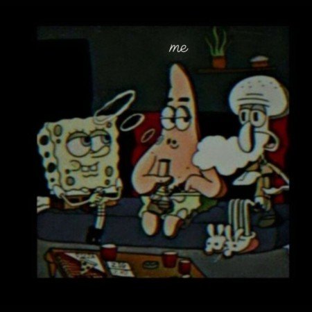  عکس باب اسفنجی و پاتریک واقعی