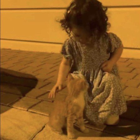  عکس پاتریک و باب اسفنجی