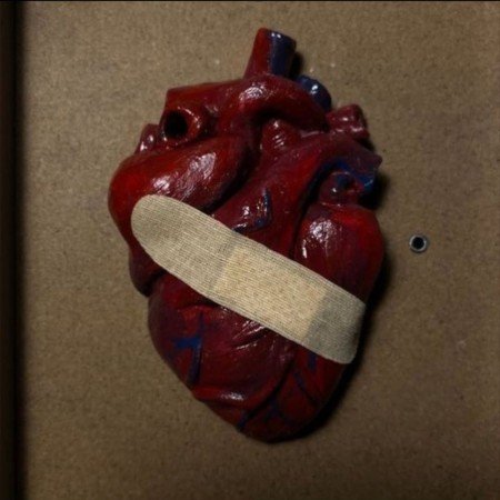  عکس پاتریک و باب اسفنجی