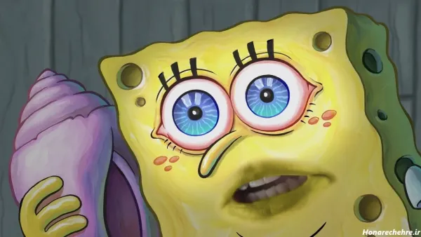 عکس واقعی اختاپوس