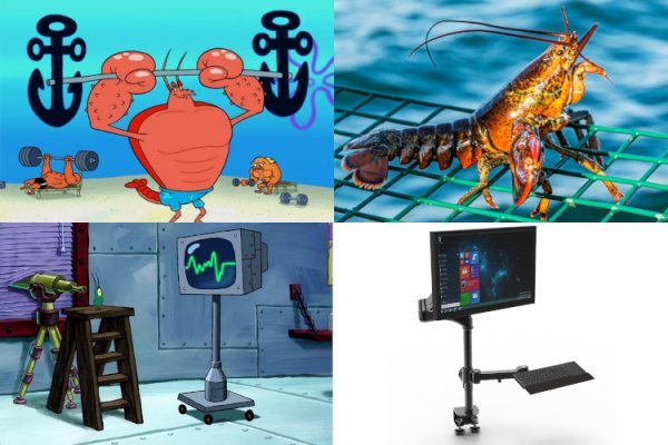 عکس باب اسفنجی واقعی در ایران