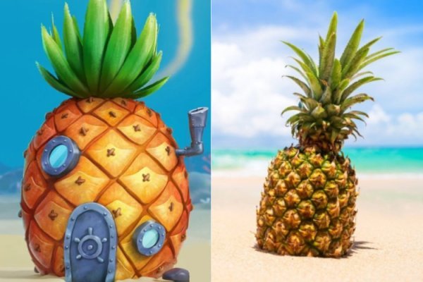 عکس باب اسفنجی واقعی در ایران