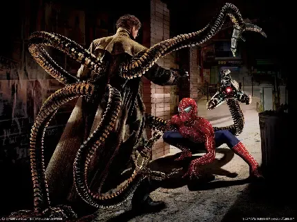 عکس هشت پا واقعی