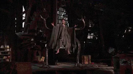  عکس هشت پا واقعی