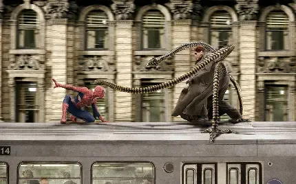  عکس هشت پا واقعی