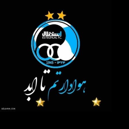  110 عکس استقلال