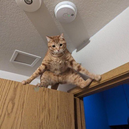  تصاویر خنده دار