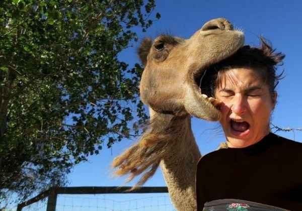 عکس های عجیب و زیبا