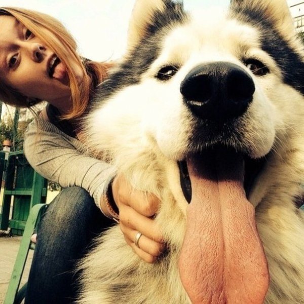  عکس های عجیب و زیبا