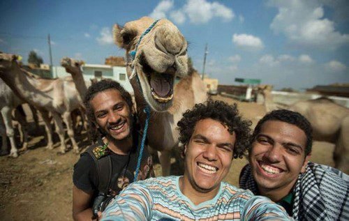  عکس های عجیب و زیبا