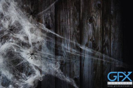  عکس عجیب غریب برای پروفایل