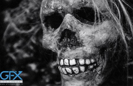  عکس عجیب غریب برای پروفایل