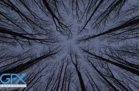  عکس عجیب غریب برای پروفایل