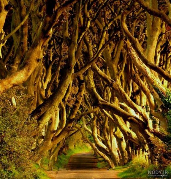 عکس های عجیب و غریب از طبیعت