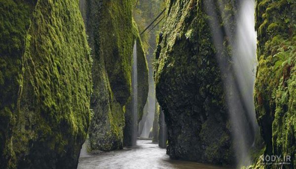  عکس های عجیب و غریب از طبیعت