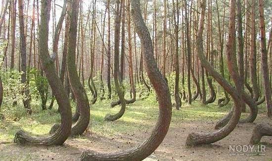  عکس های عجیب و غریب از طبیعت