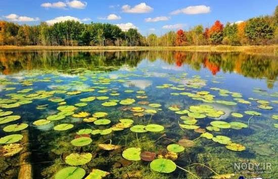  عکس های عجیب و غریب از طبیعت