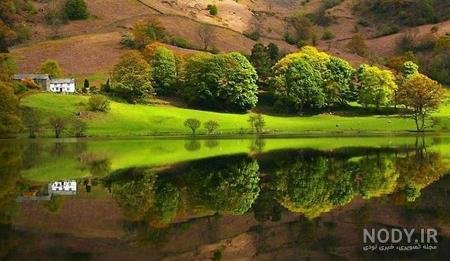  عکس های عجیب و غریب از طبیعت