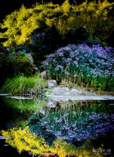  عکس های عجیب و غریب از طبیعت