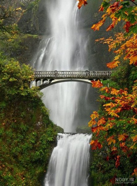  عکس های عجیب و غریب از طبیعت